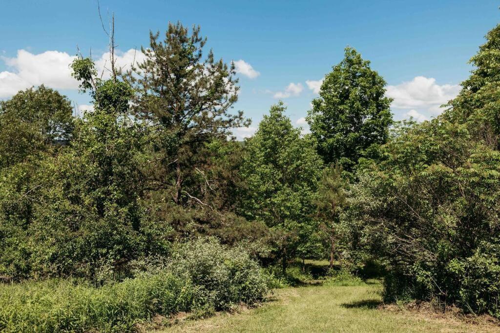 Vila Rustic Ridge Penn Yan Exteriér fotografie